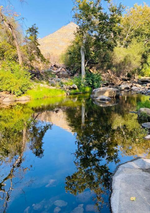 Sequoia Cabin By The River Three Rivers Ngoại thất bức ảnh