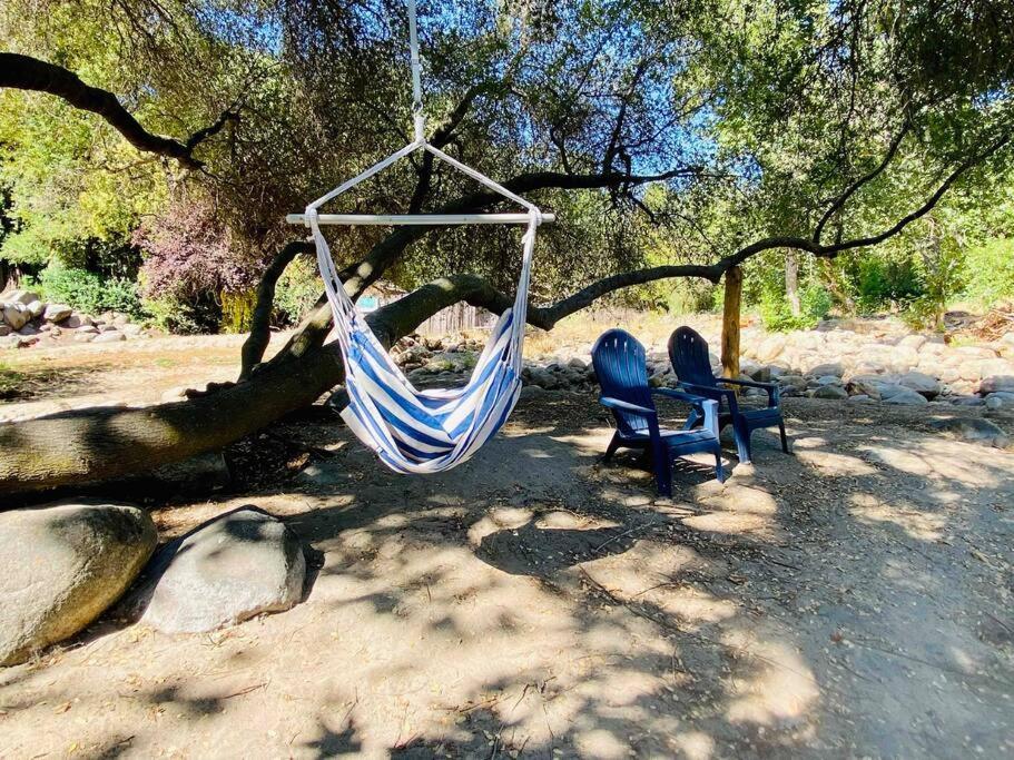 Sequoia Cabin By The River Three Rivers Ngoại thất bức ảnh