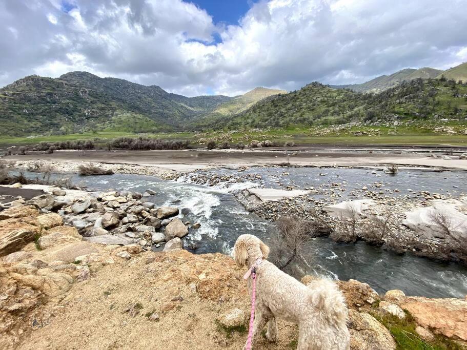 Sequoia Cabin By The River Three Rivers Ngoại thất bức ảnh