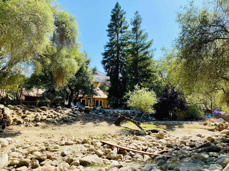 Sequoia Cabin By The River Three Rivers Ngoại thất bức ảnh
