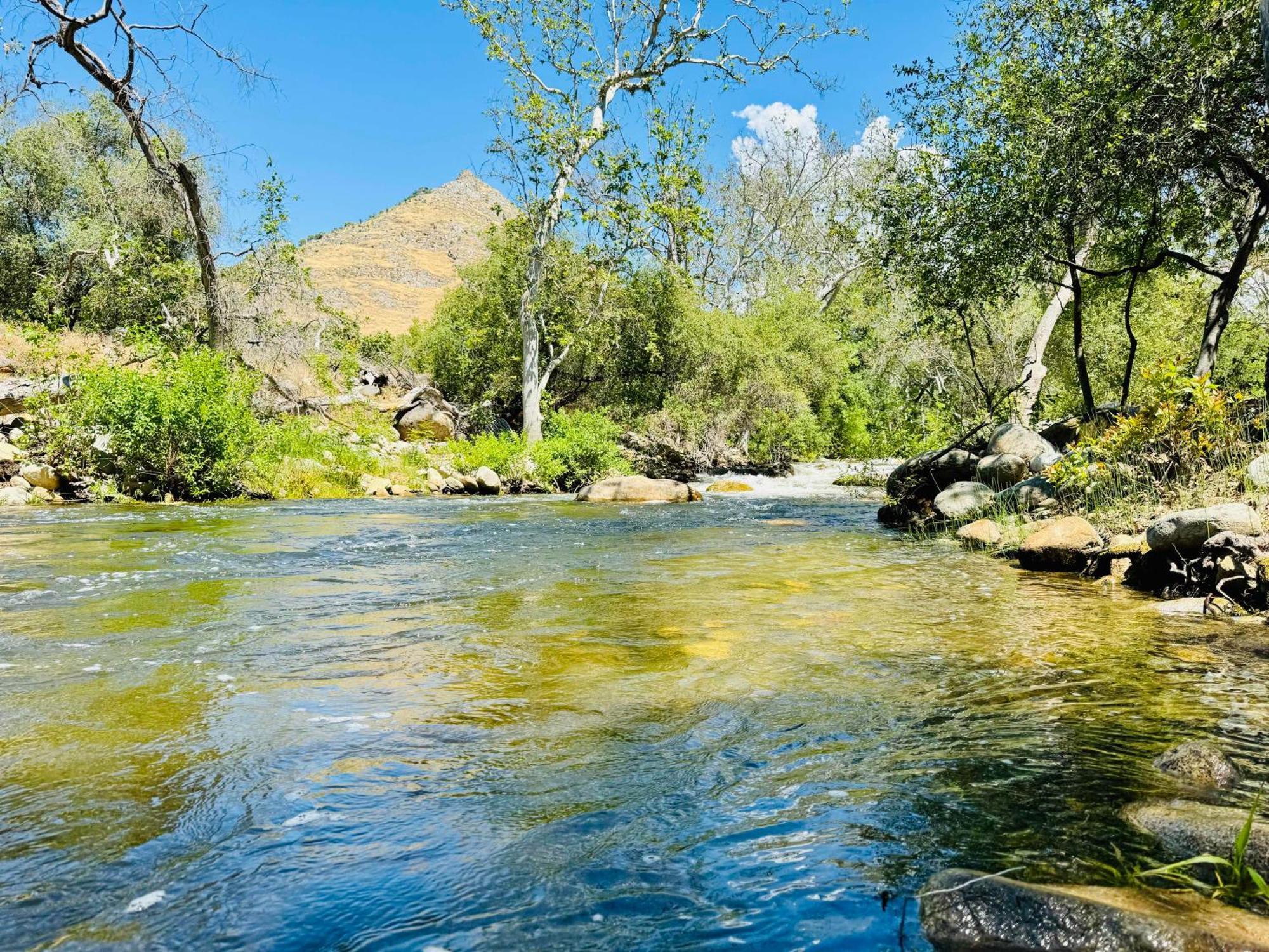 Sequoia Cabin By The River Three Rivers Ngoại thất bức ảnh